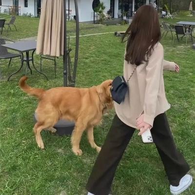 通灵:一个新的开始